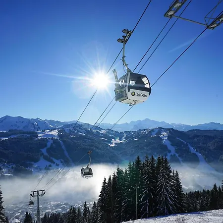 Portes Du Soleil 1 Chalet